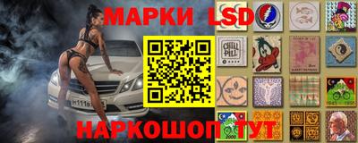 jwh Кингисепп
