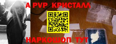 jwh Кингисепп