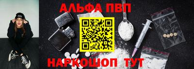jwh Кингисепп