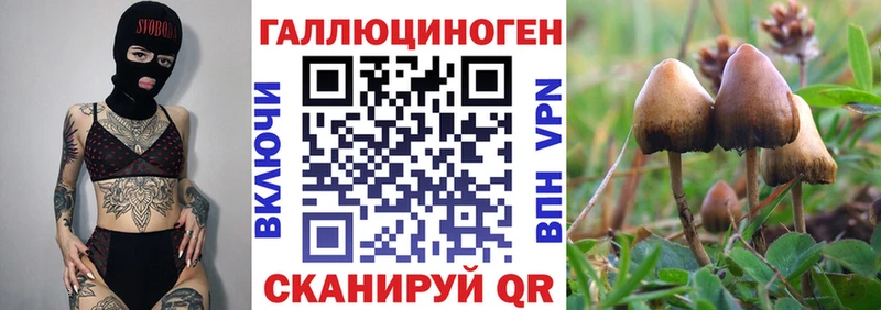 гидра ссылки  Туапсе  Галлюциногенные грибы мухоморы 
